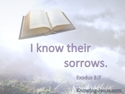I know their sorrows.